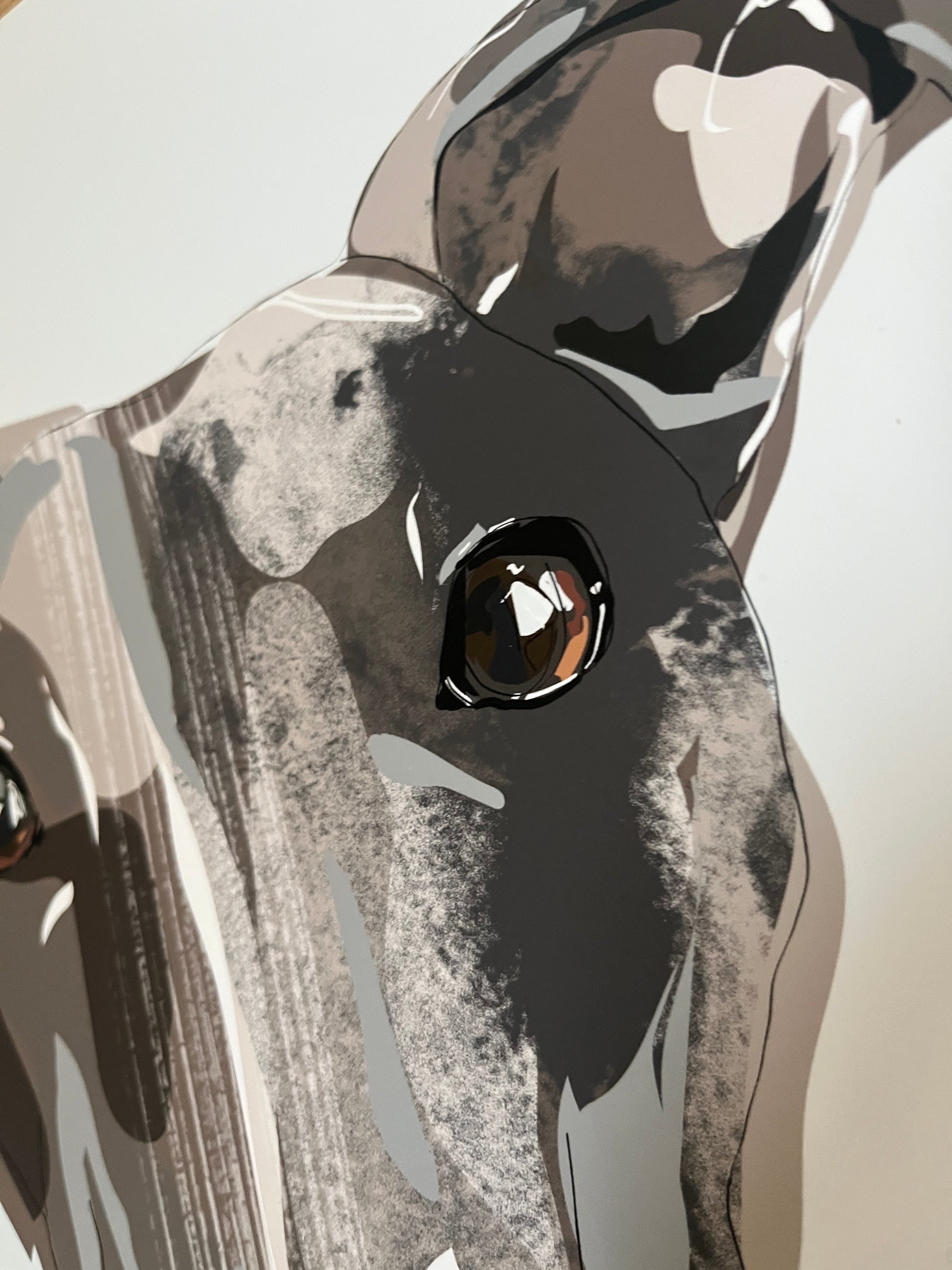 Detailed view of a dog portrait drawing. This is the eye of a blue whippet, drawn and painted by hand and custom produced in a digital portrait. 